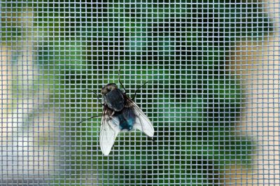 Keep Out Pests