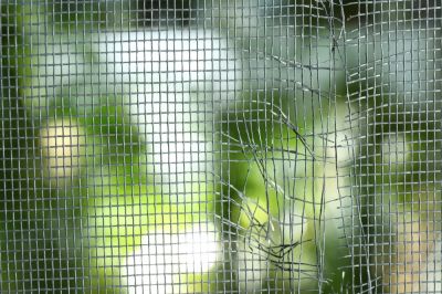 Repair Wear and Tear on Your Screens